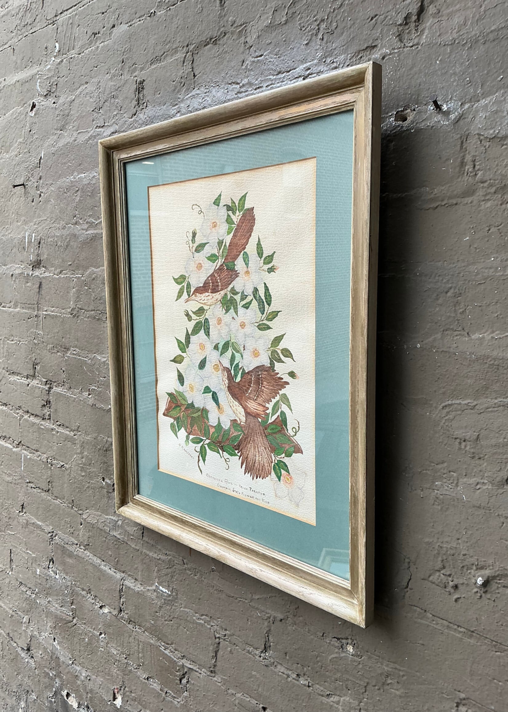 GOODWOOD Ornithological Watercolor