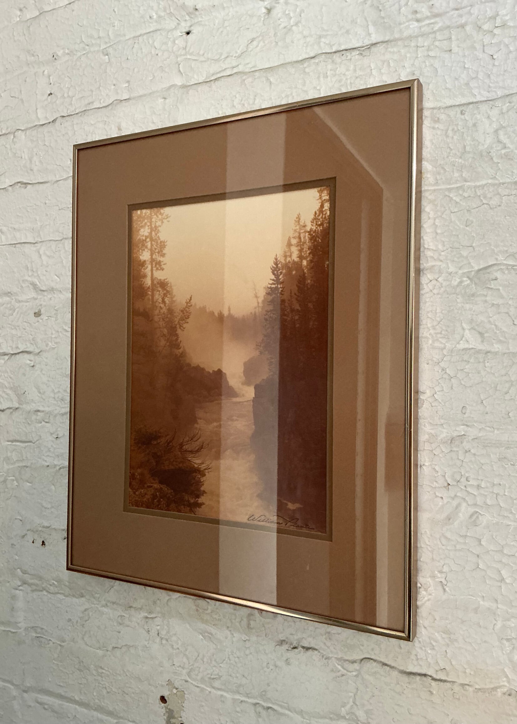 GOODWOOD River Photograph, William Plante
