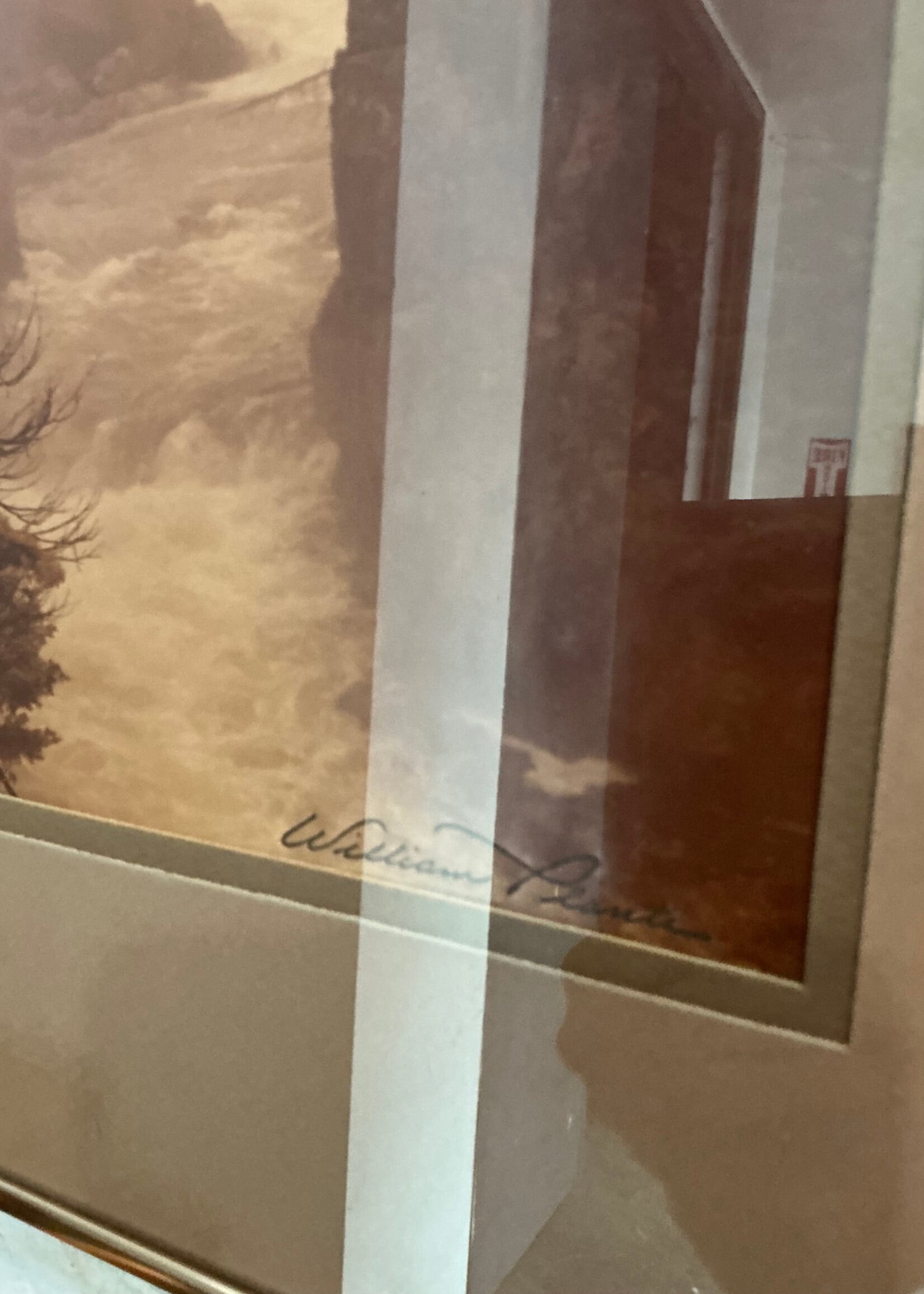 GOODWOOD River Photograph, William Plante