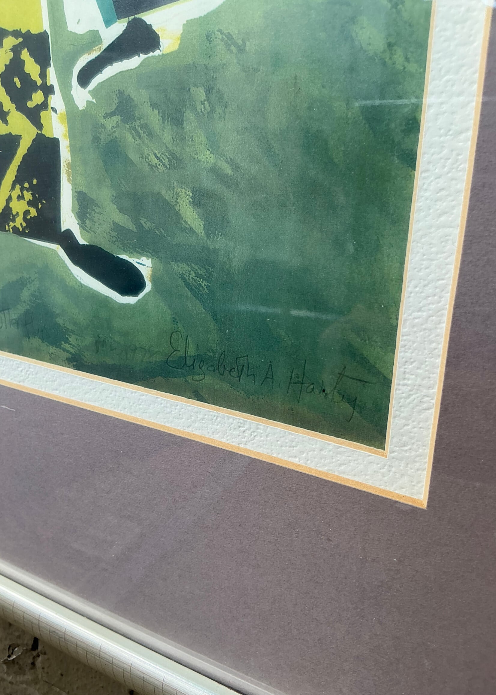 GOODWOOD African Butterfly Print, Elizabeth Harty