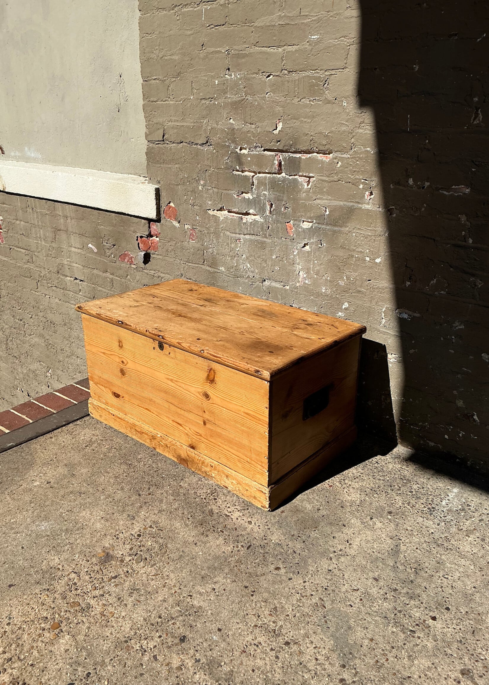GOODWOOD Antique Scrubbed Pine Trunk