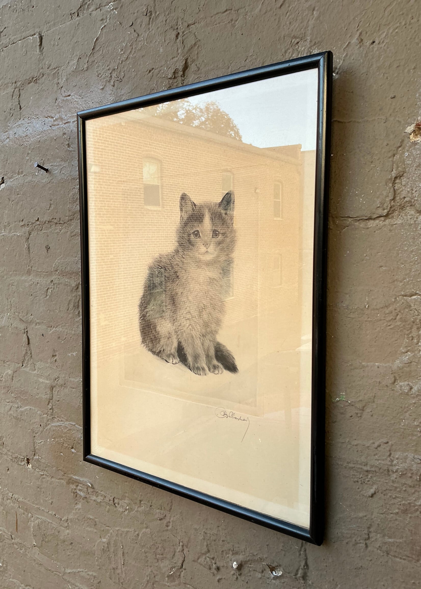 GOODWOOD Kurt Meyer-Eberhardt Pencil Signed Etching of Kitten