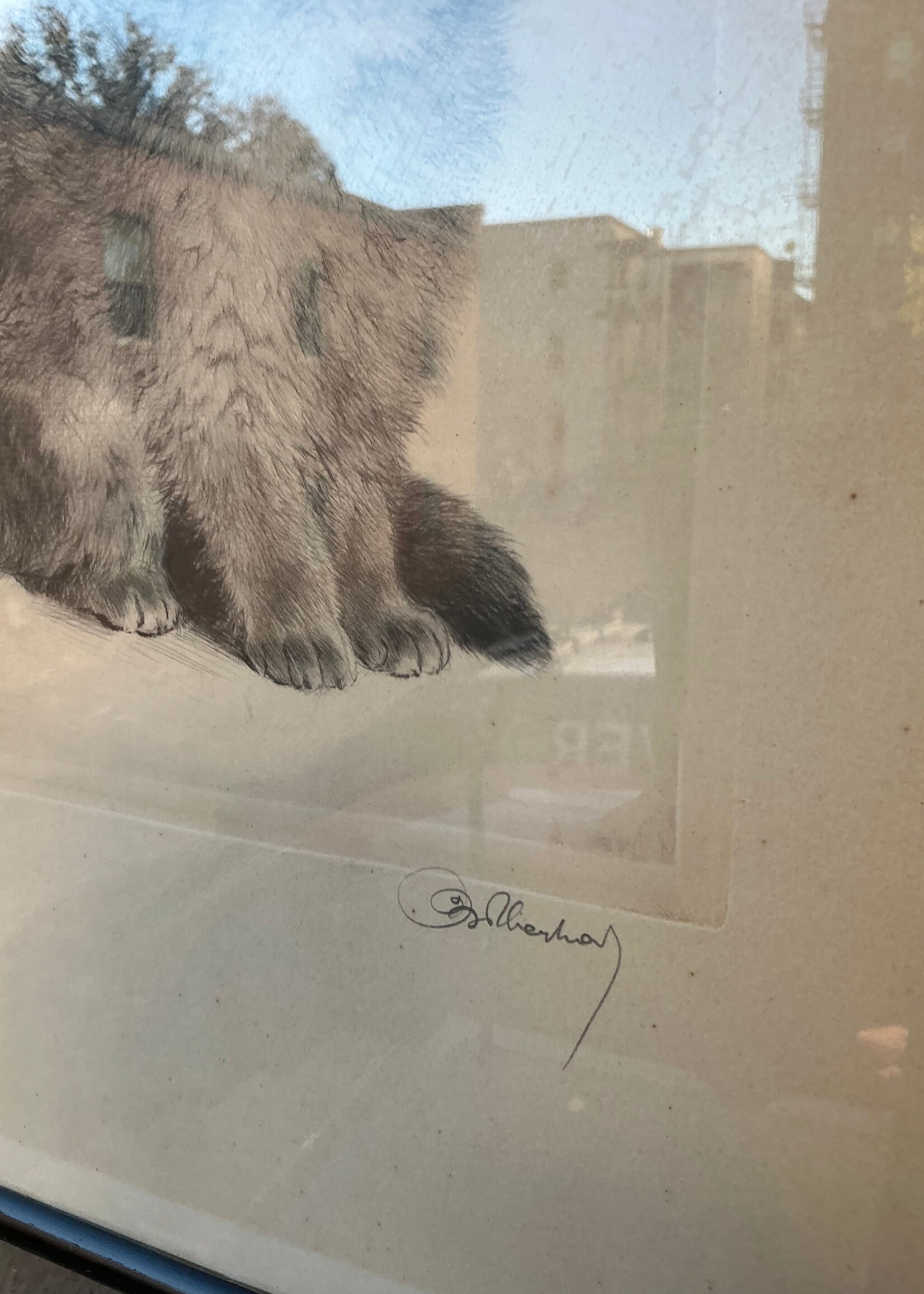GOODWOOD Kurt Meyer-Eberhardt Pencil Signed Etching of Kitten