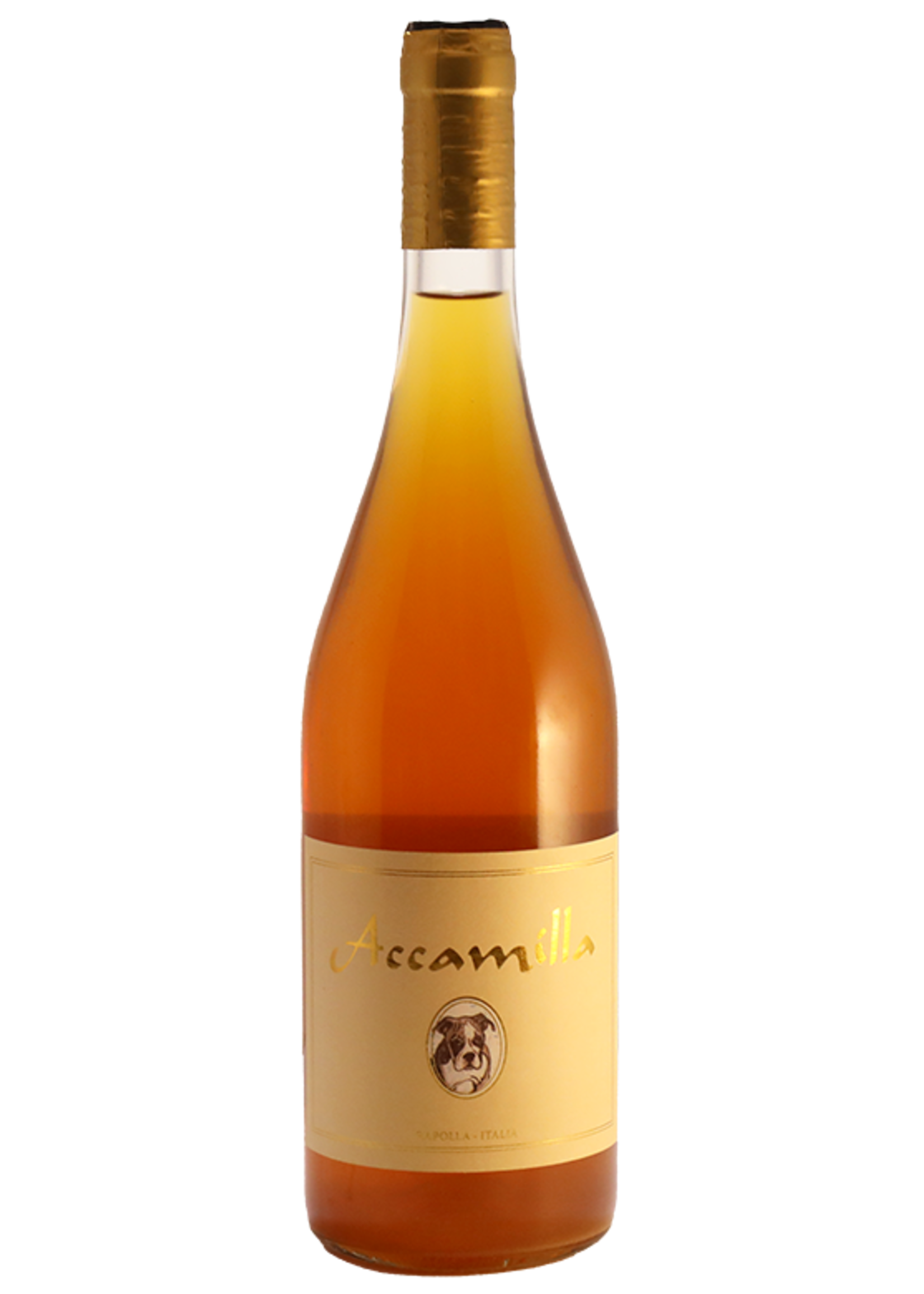 Malvasia "Accamilla" 2020 Azienda Agricola Camerlengo