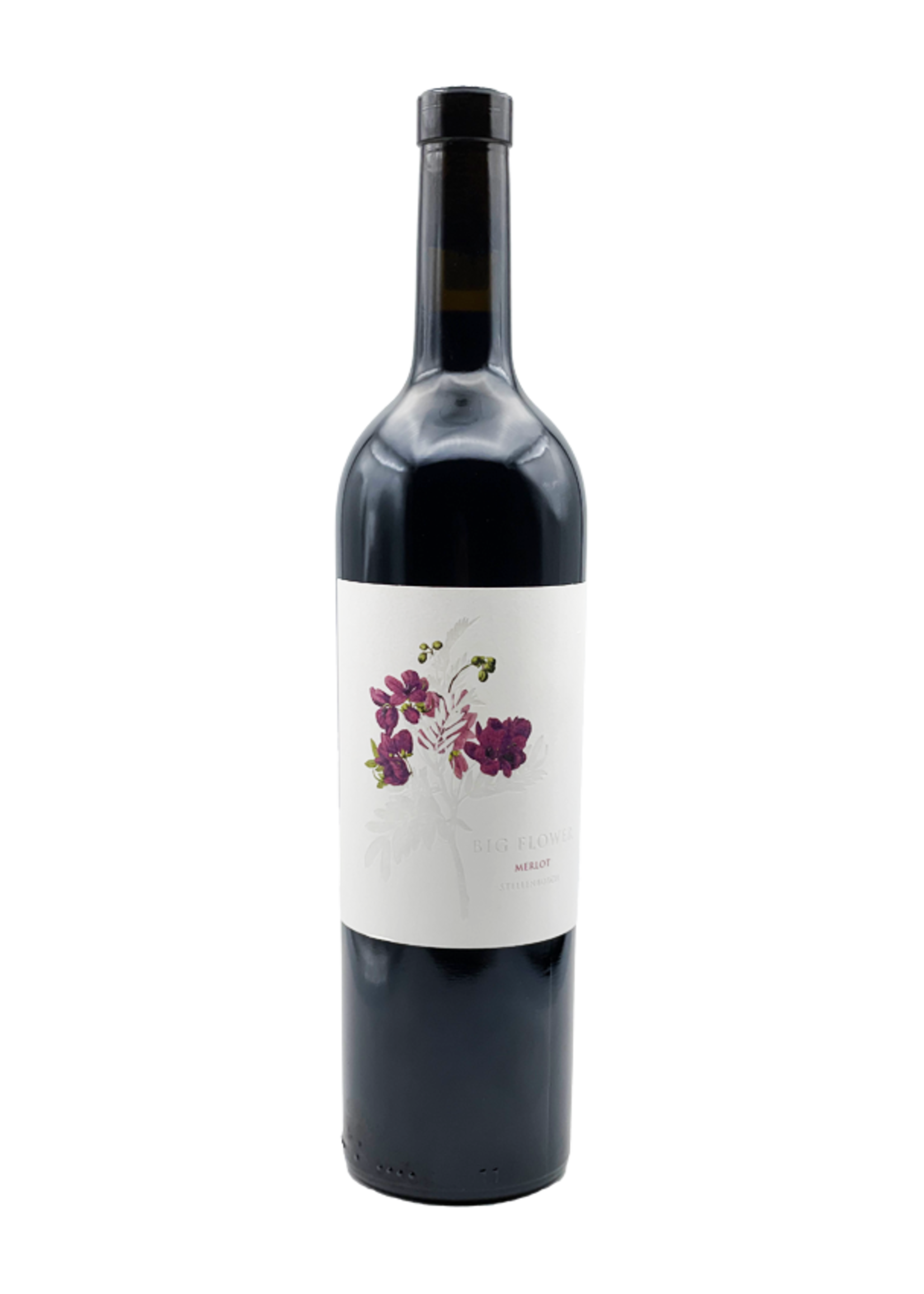 Merlot 2023 Big Flower