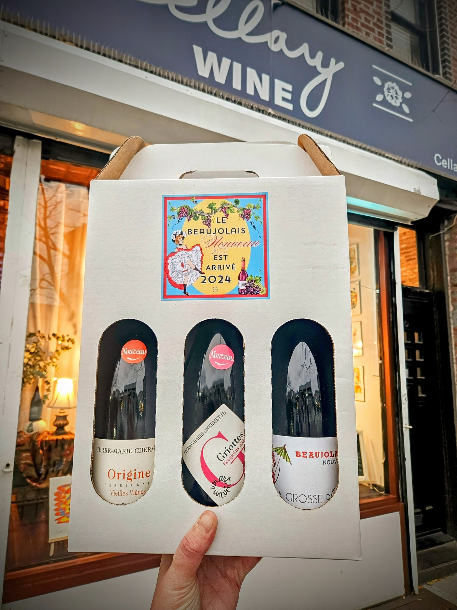 Beaujolais Nouveau 2024 3Pack Cellary Inc