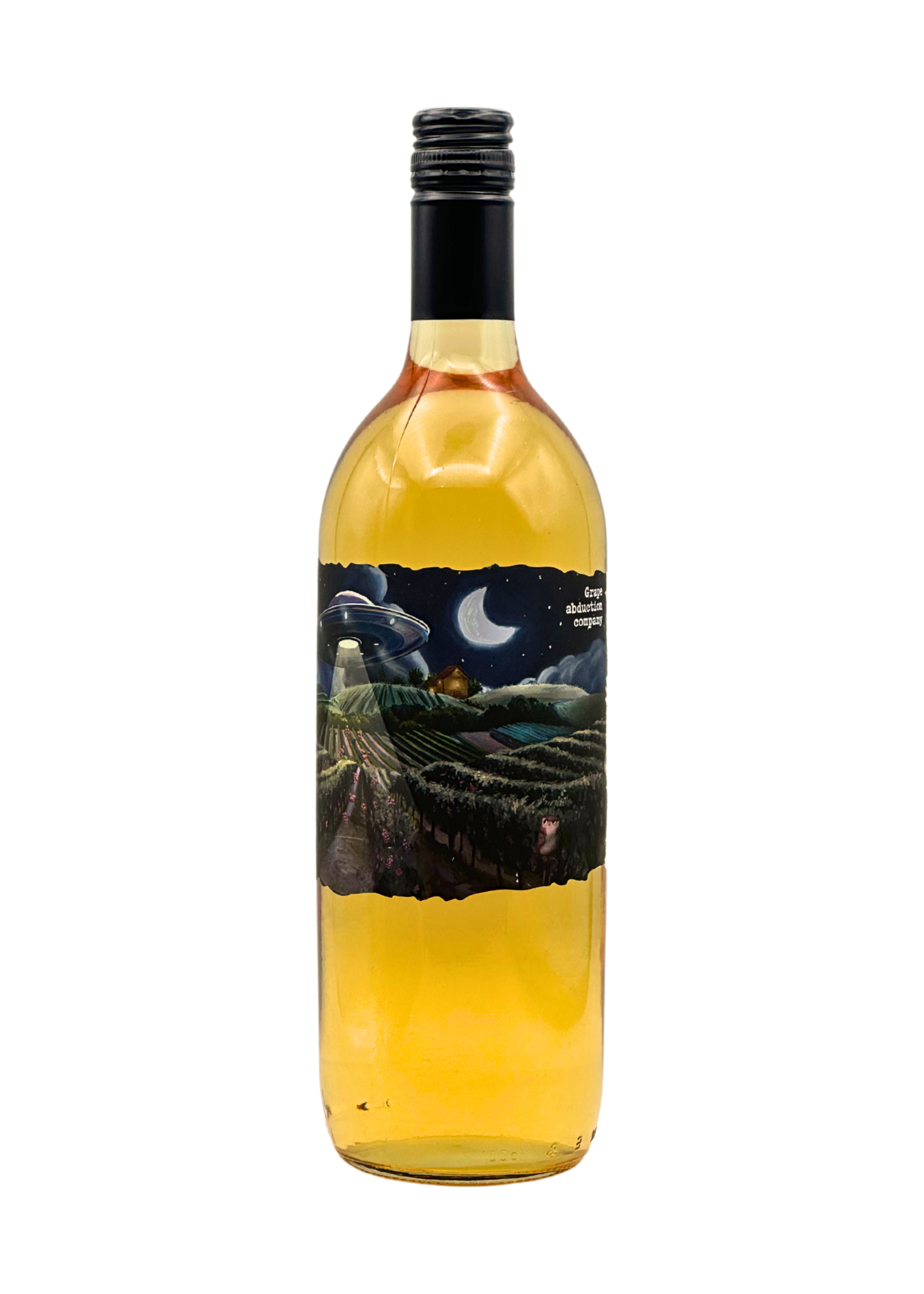 Grape Abduction "Orange" 2023 Gonc