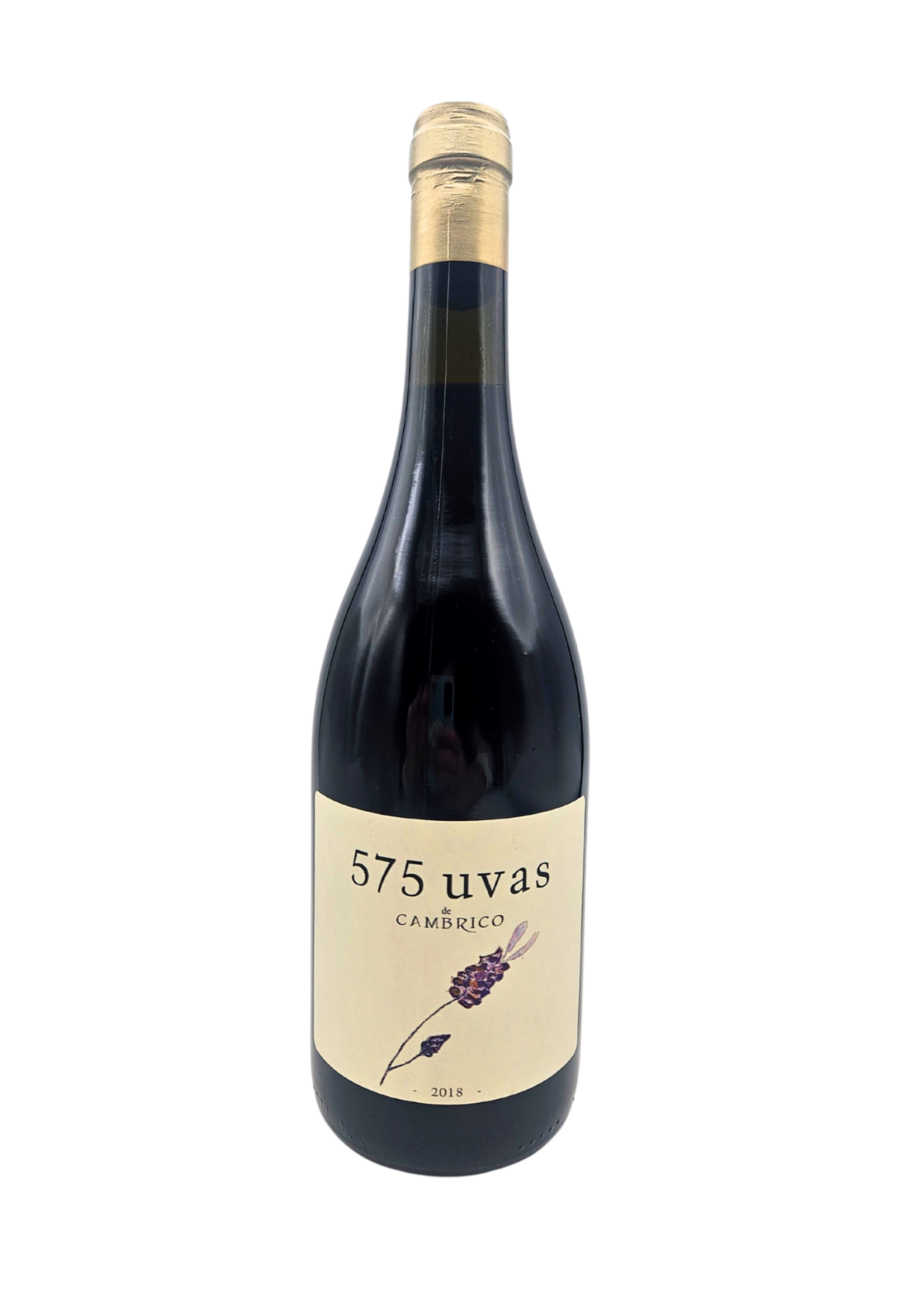 Sierra de Salamanca "575 Uvas" 2018 Vinas del Cambrico