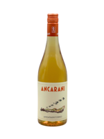 "Andata e Ritorno" 2023 Ancarani