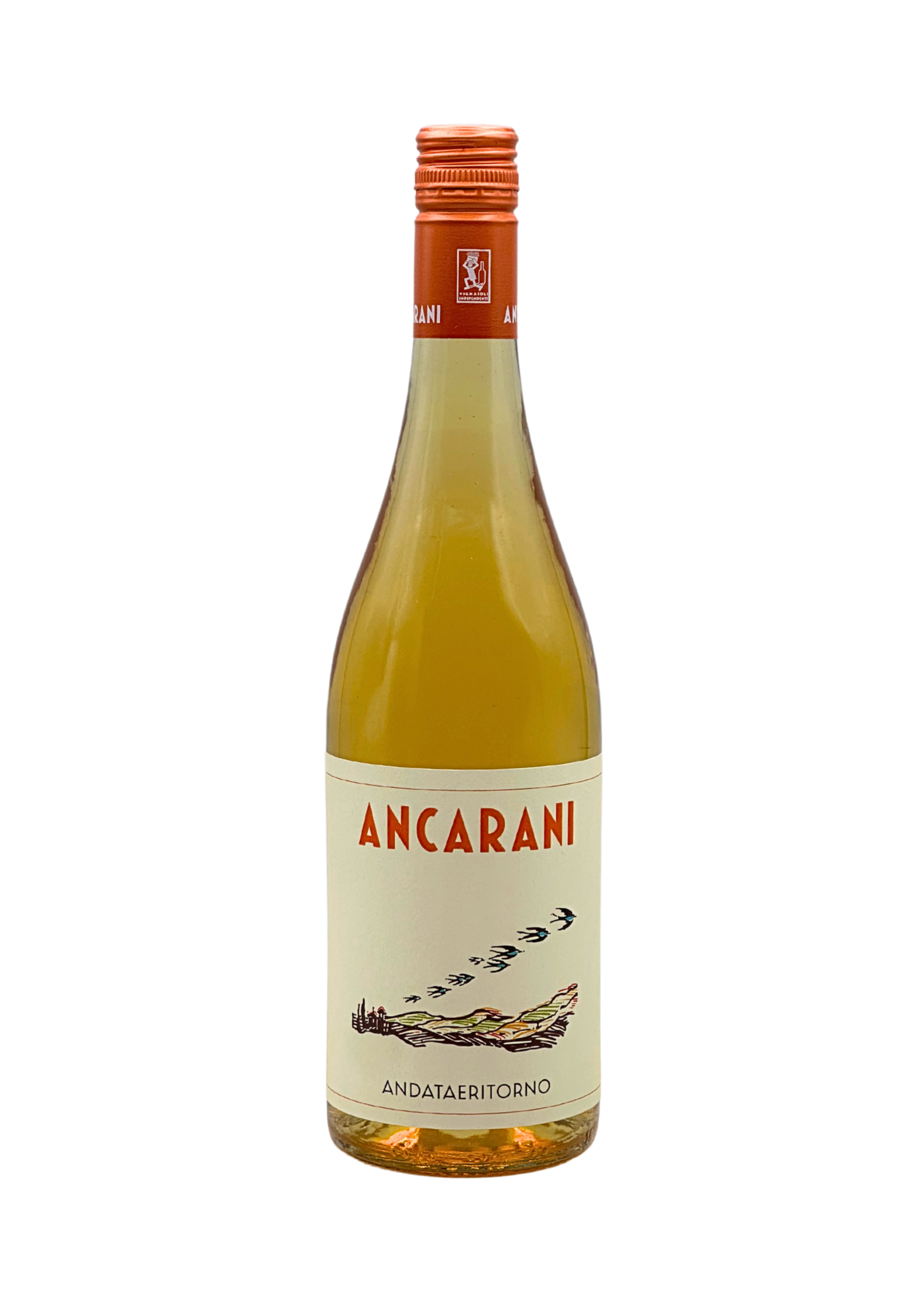 "Andata e Ritorno" 2023 Ancarani