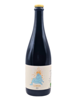 Gros Manseng "Élevation" Pétillant Naturel 2023 Domaine Coustarret