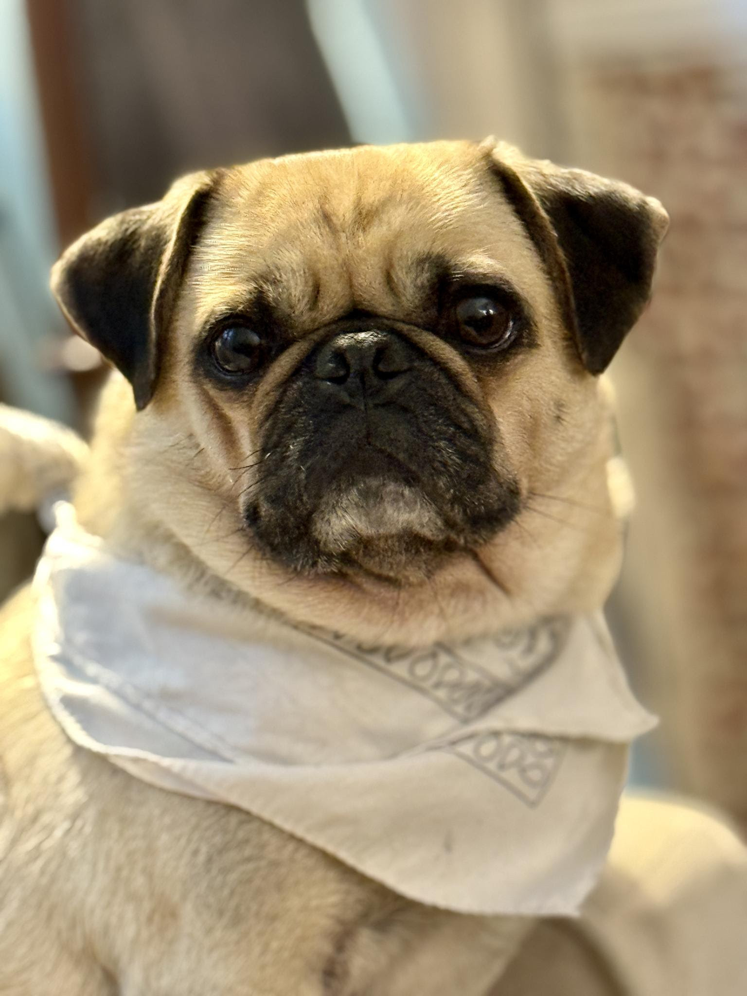 Are you there, Snacks? It's me, Dolly.