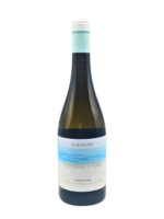 Piedra y Sal Albarino 2025 Lagar de Costa