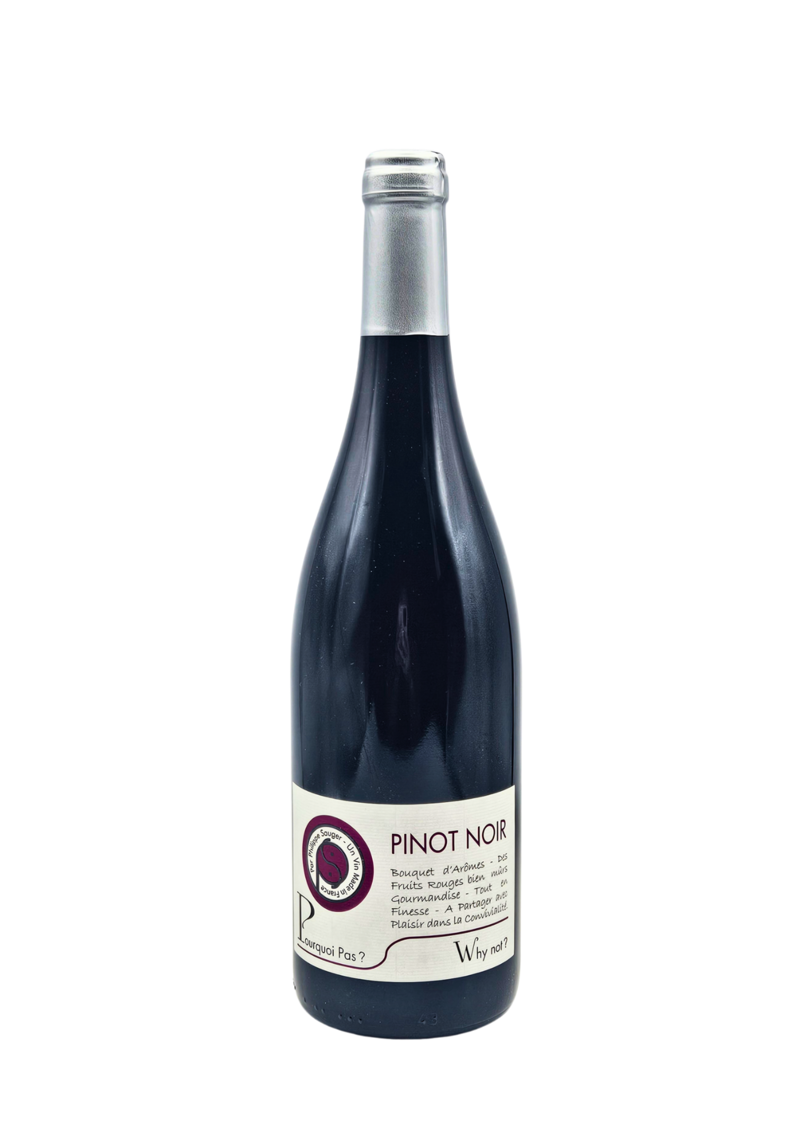Val de Loire Pinot Noir "Pourquoi Pas? Why Not?" 2023 Domaine Sauger