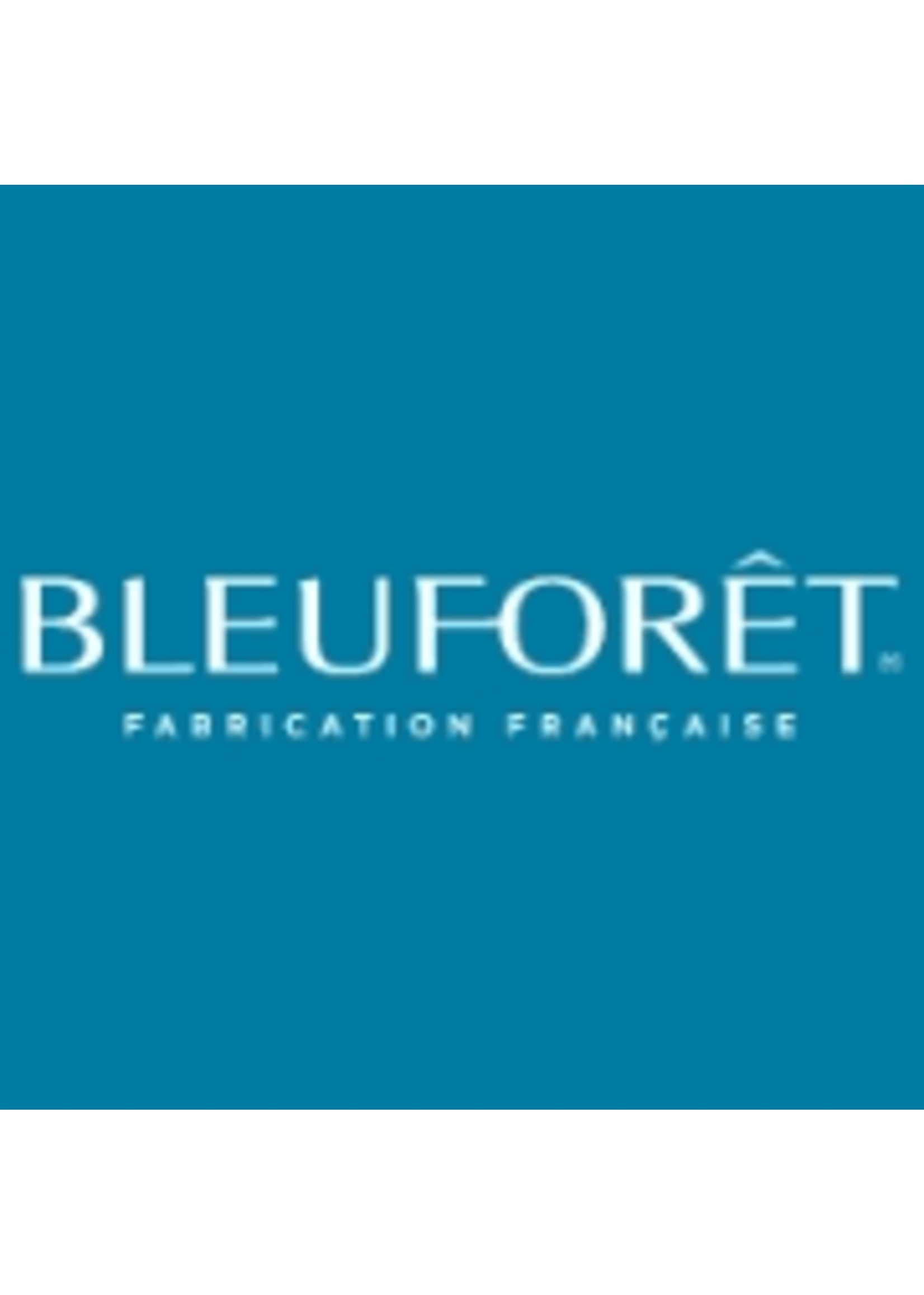 Bleuforet 100% Silk Socks - wotever inc.