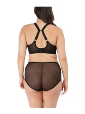 Elomi Charley Plunge - Coup de Foudre Lingerie