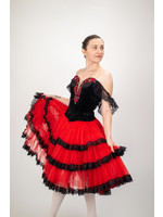Benefis Costume Company Spanish Dress