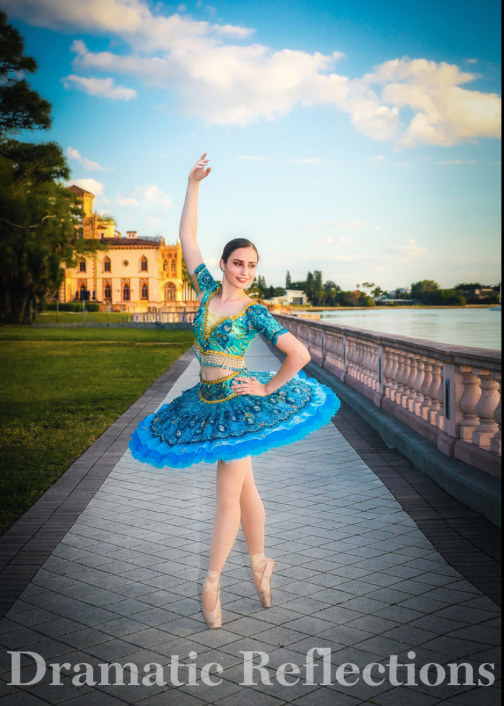 Benefis Costume Company Odalisque Classical Tutu