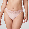 Madison Thong 0662125 Powder Rose
