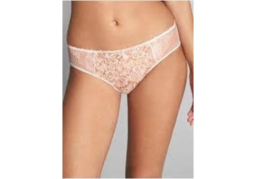 Lace Panty (pack of 4) – Franklin Sunset