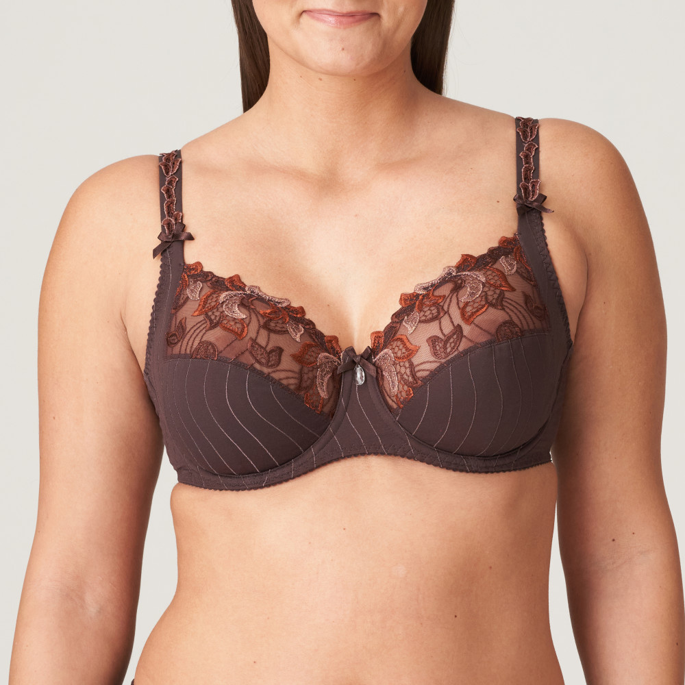 Sheer Lace Molded Cup Bra Plus Size Lavinia Lingerie Laura LL0129