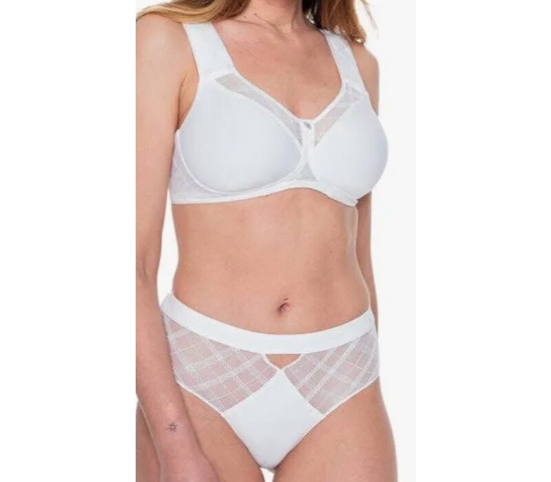 LB Albanach Full Brief 492*50