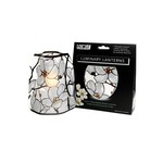 Modgy Louis C. Tiffany Magnolia Windows Lantern