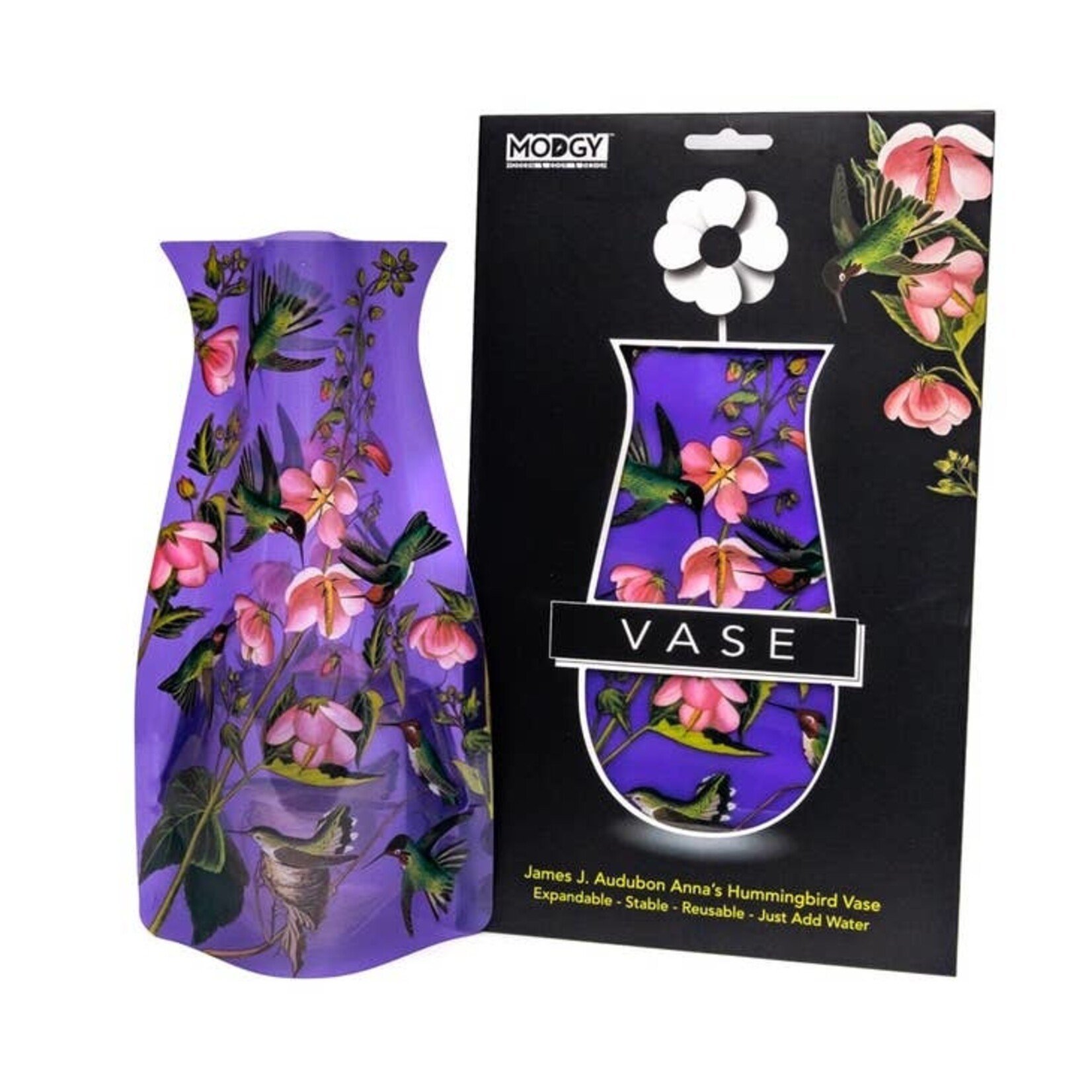 Modgy John J. Audubon Anna's Hummingbird Modgy Vase