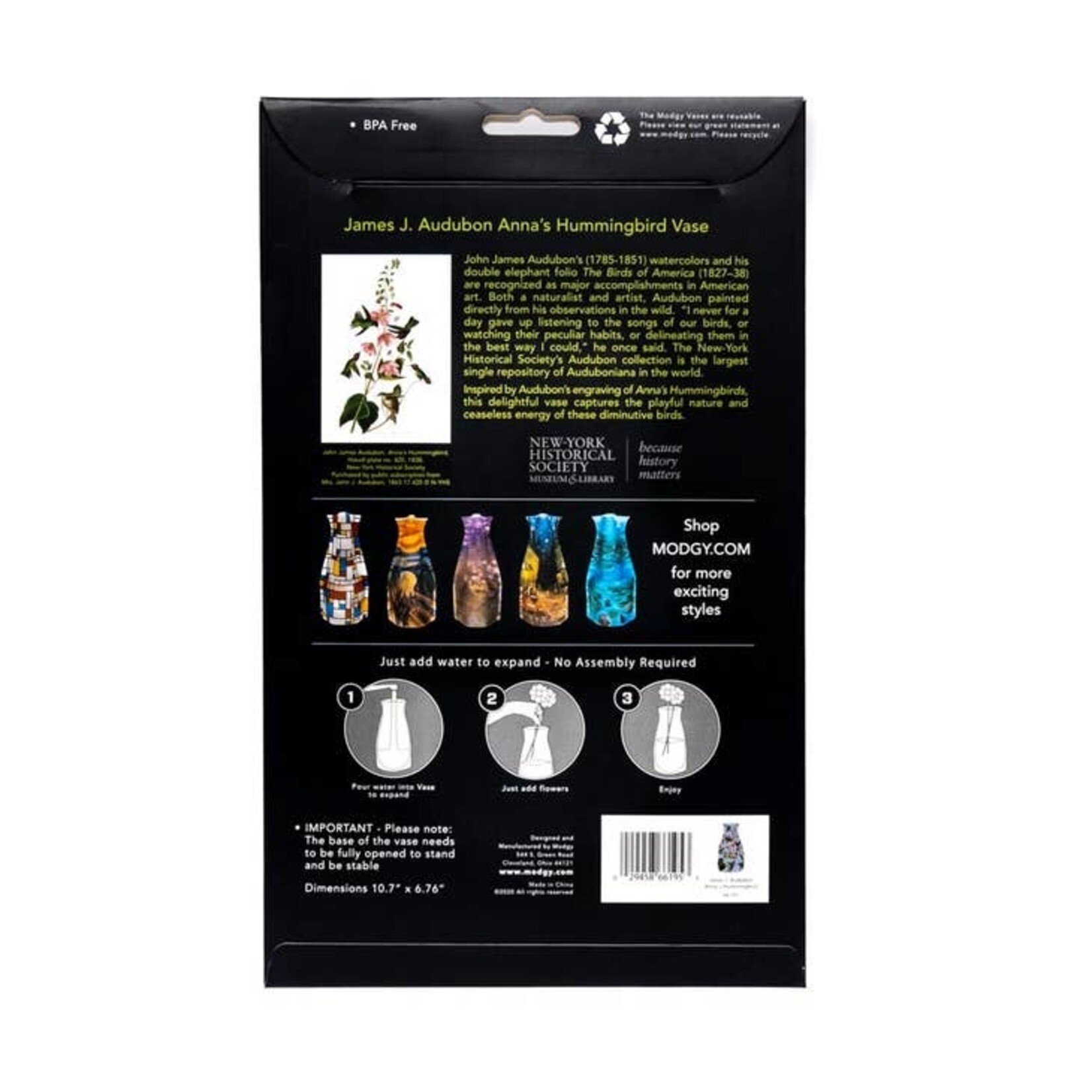 Modgy John J. Audubon Anna's Hummingbird Modgy Vase