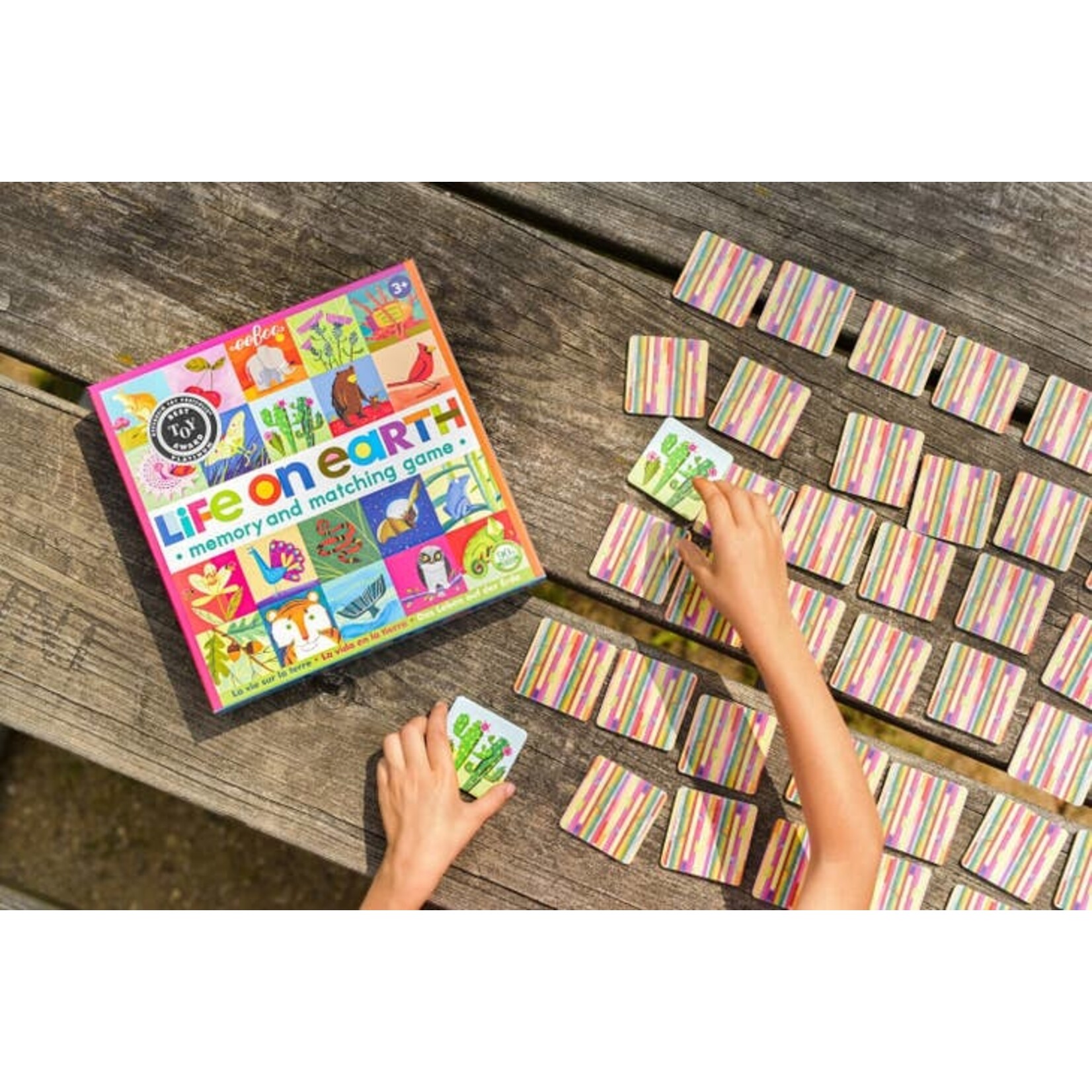 Eeboo Eeboo Life on Earth Matching Game