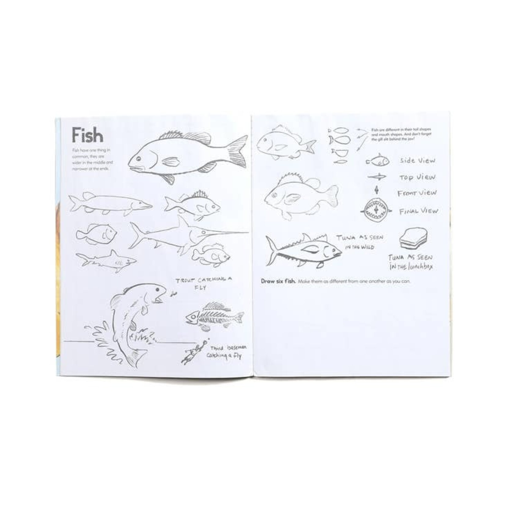 Eeboo Eeeboo-Learn to Draw Animals Art Book