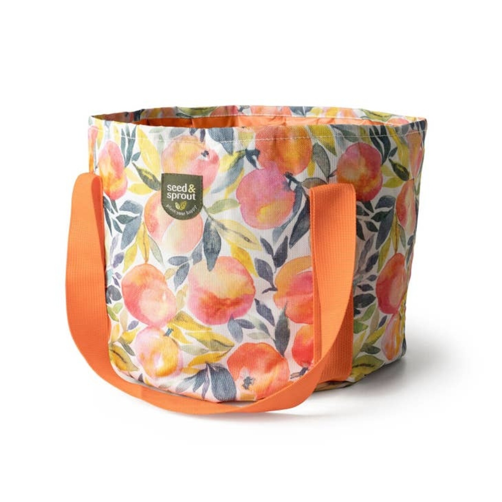 DMerch Seed & Sprout Foldable Garden Bucket