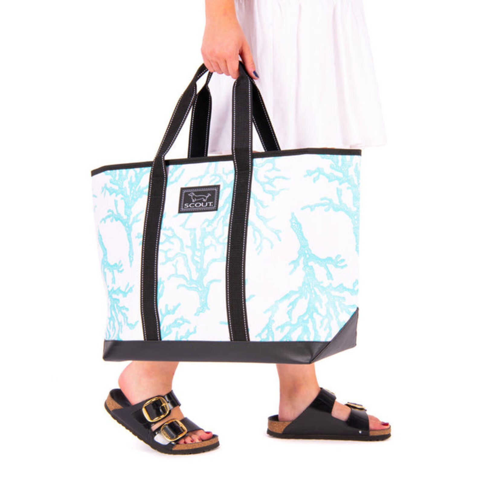 Scout Scout La Bumba-Coral Fixation