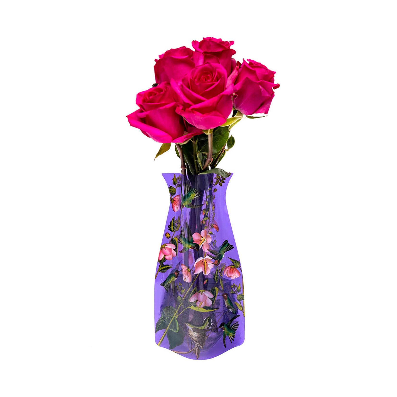 Modgy John J. Audubon Anna's Hummingbird Modgy Vase