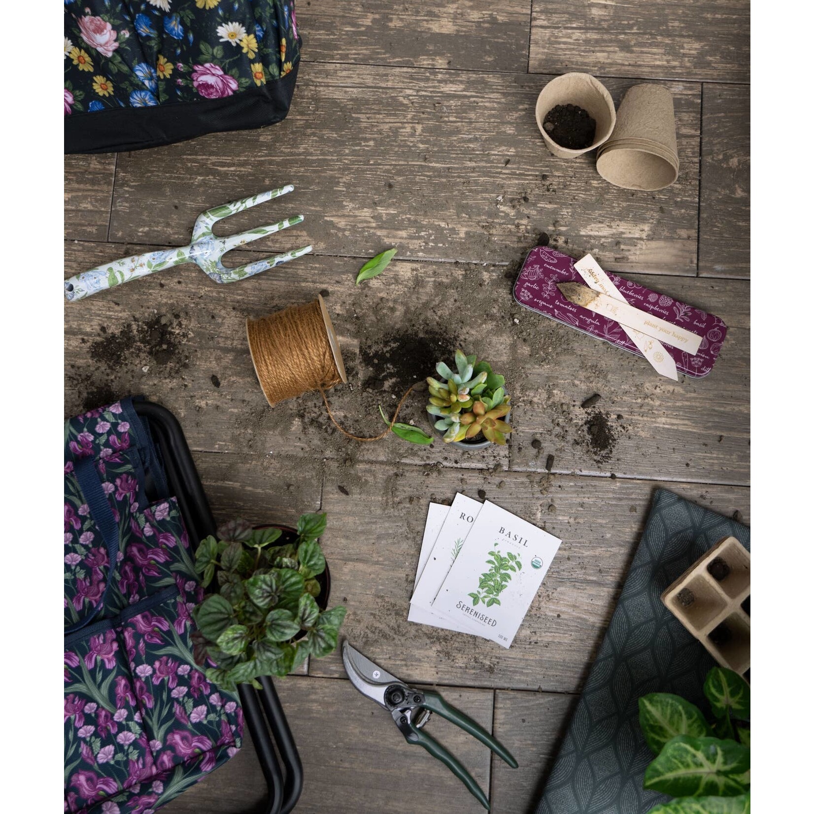 DMerch DM Merchandising-Seed & Sprout Garden Label Set