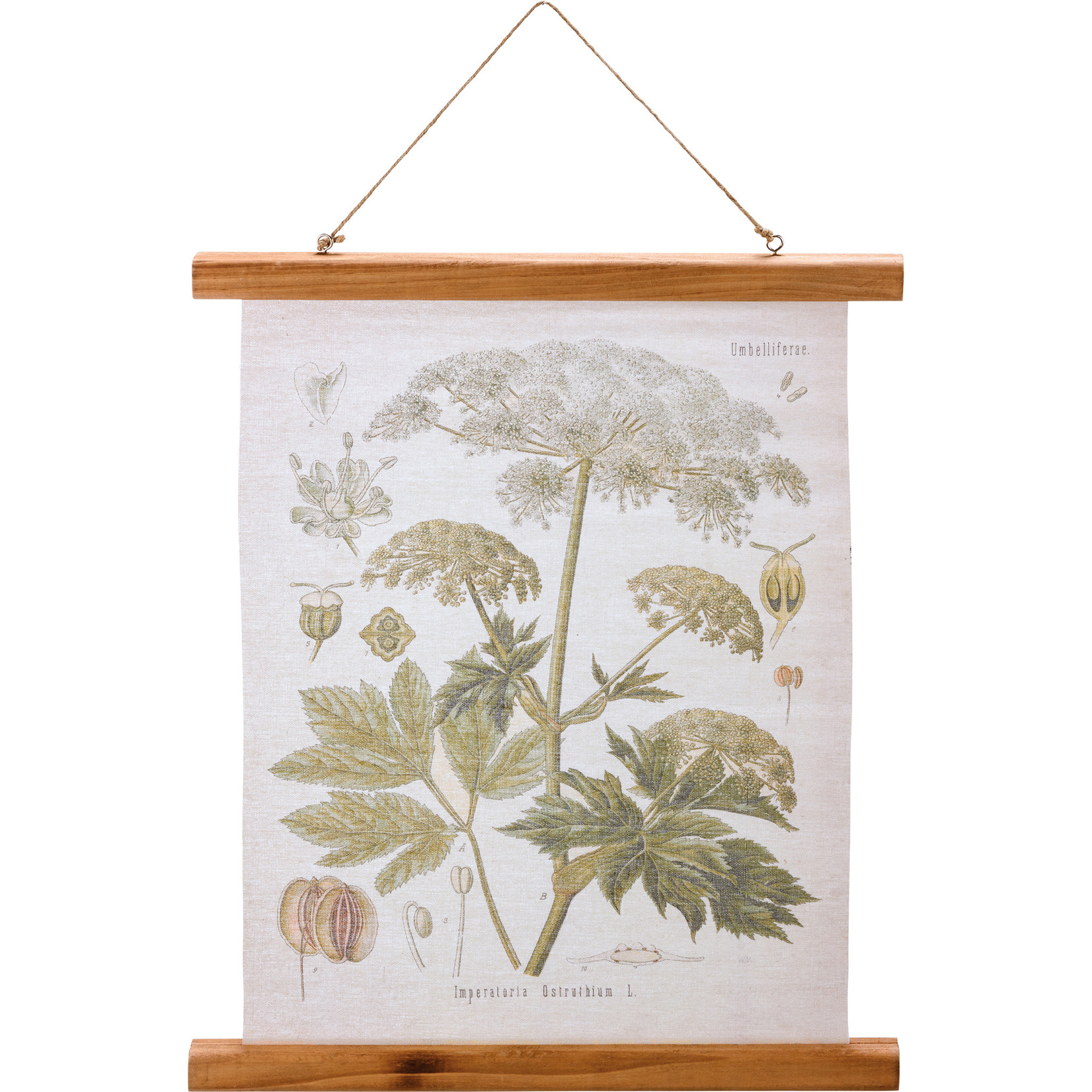 Primitives by Kathy Primitives By Kathy Queen Anne's Lace Floral Wall Hanging