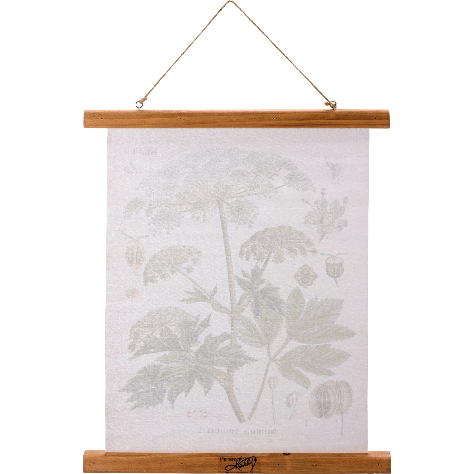 Primitives by Kathy Primitives By Kathy Queen Anne's Lace Floral Wall Hanging