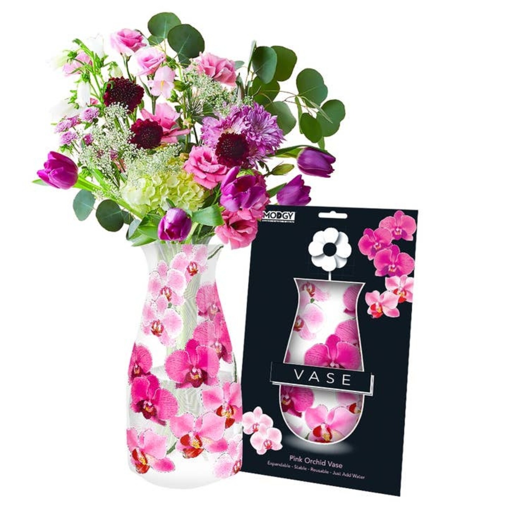 Modgy Pink Orchid Modgy Vase