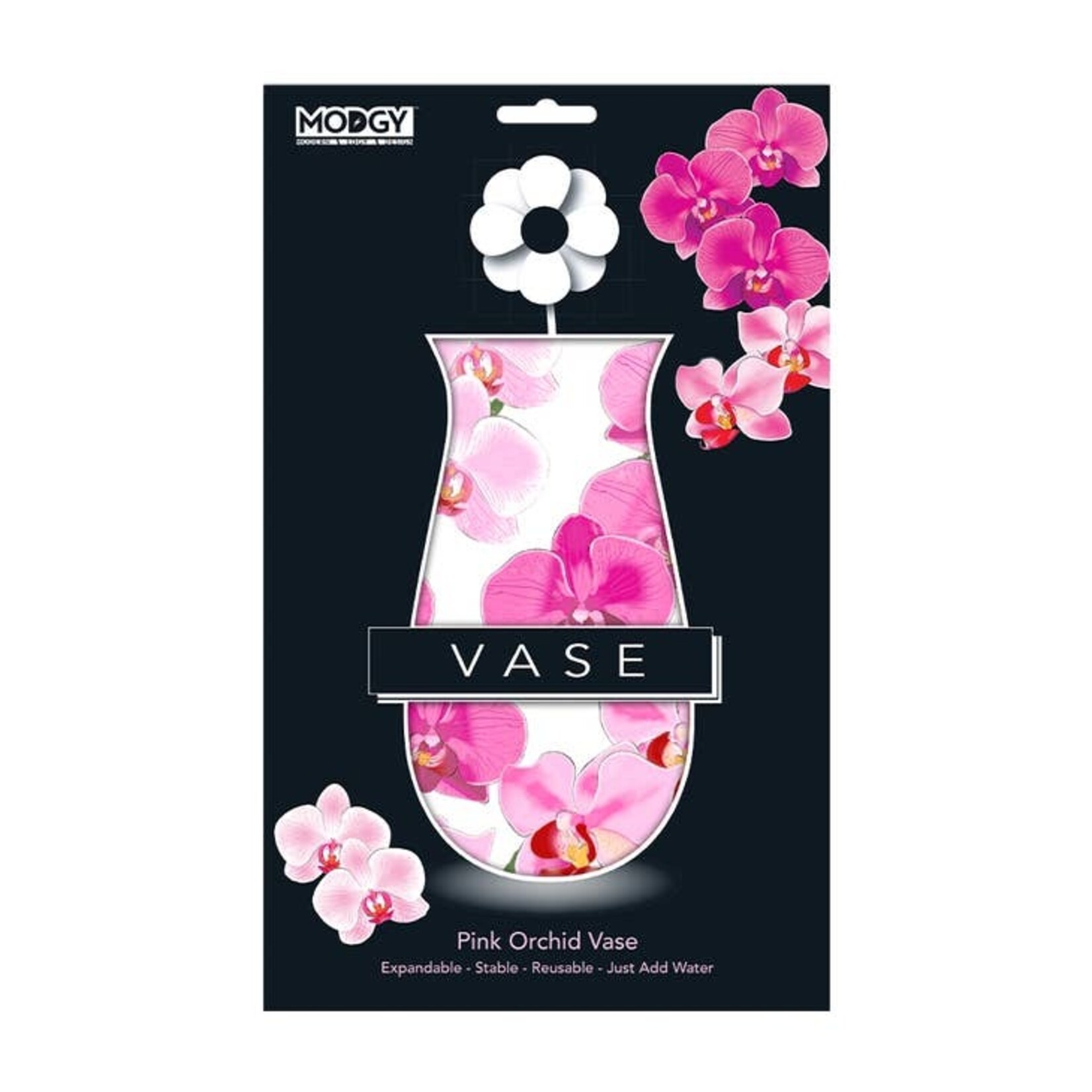 Modgy Pink Orchid Modgy Vase
