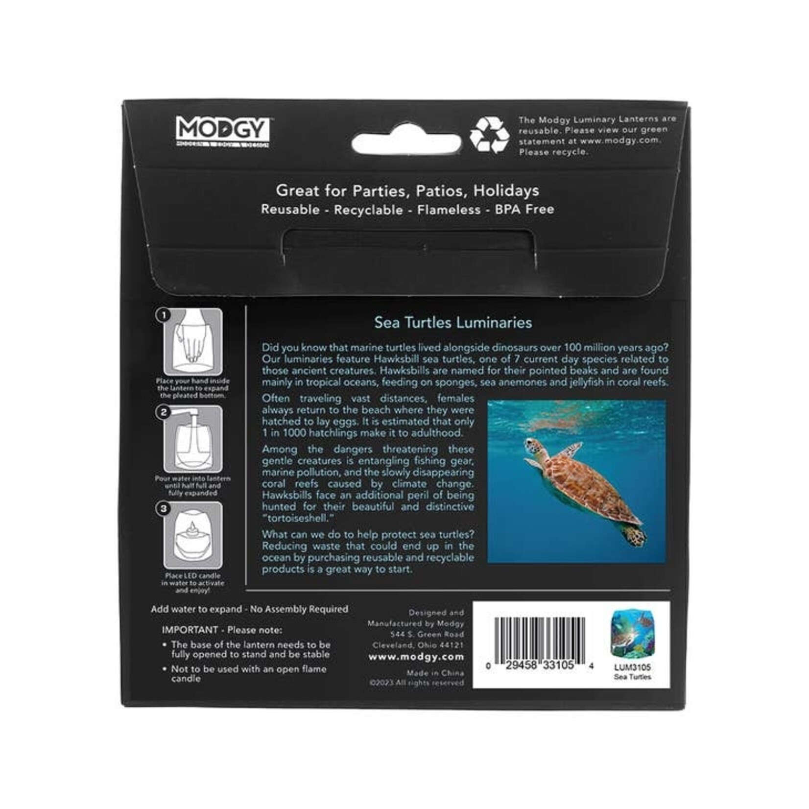 Modgy Sea Turtle Modgy Luminary Lanterns