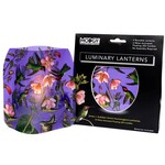 Modgy Anna's Hummingbirds Lantern