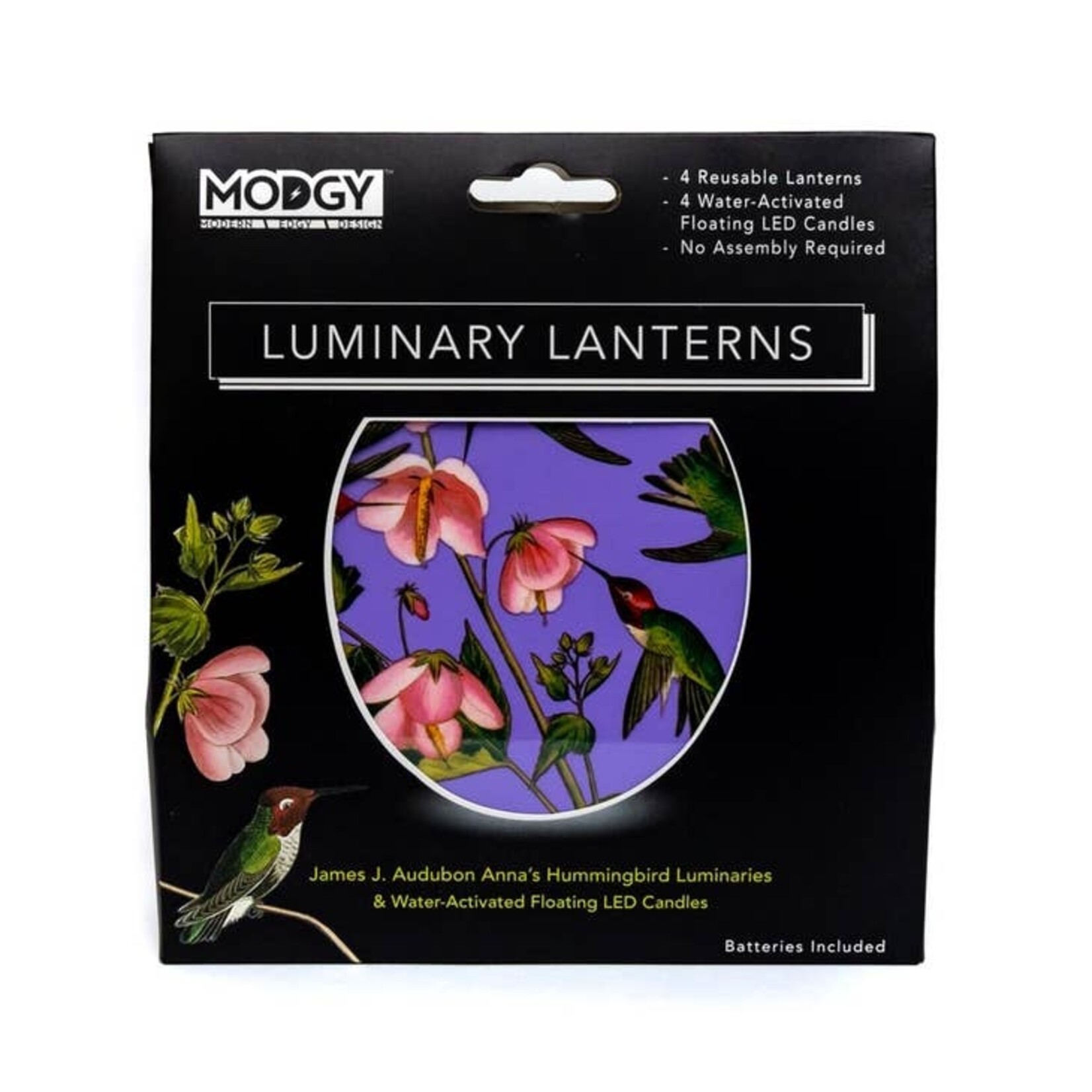 Modgy James J. Audobon Anna's Hummingbirds Modgy Luminary Lantern