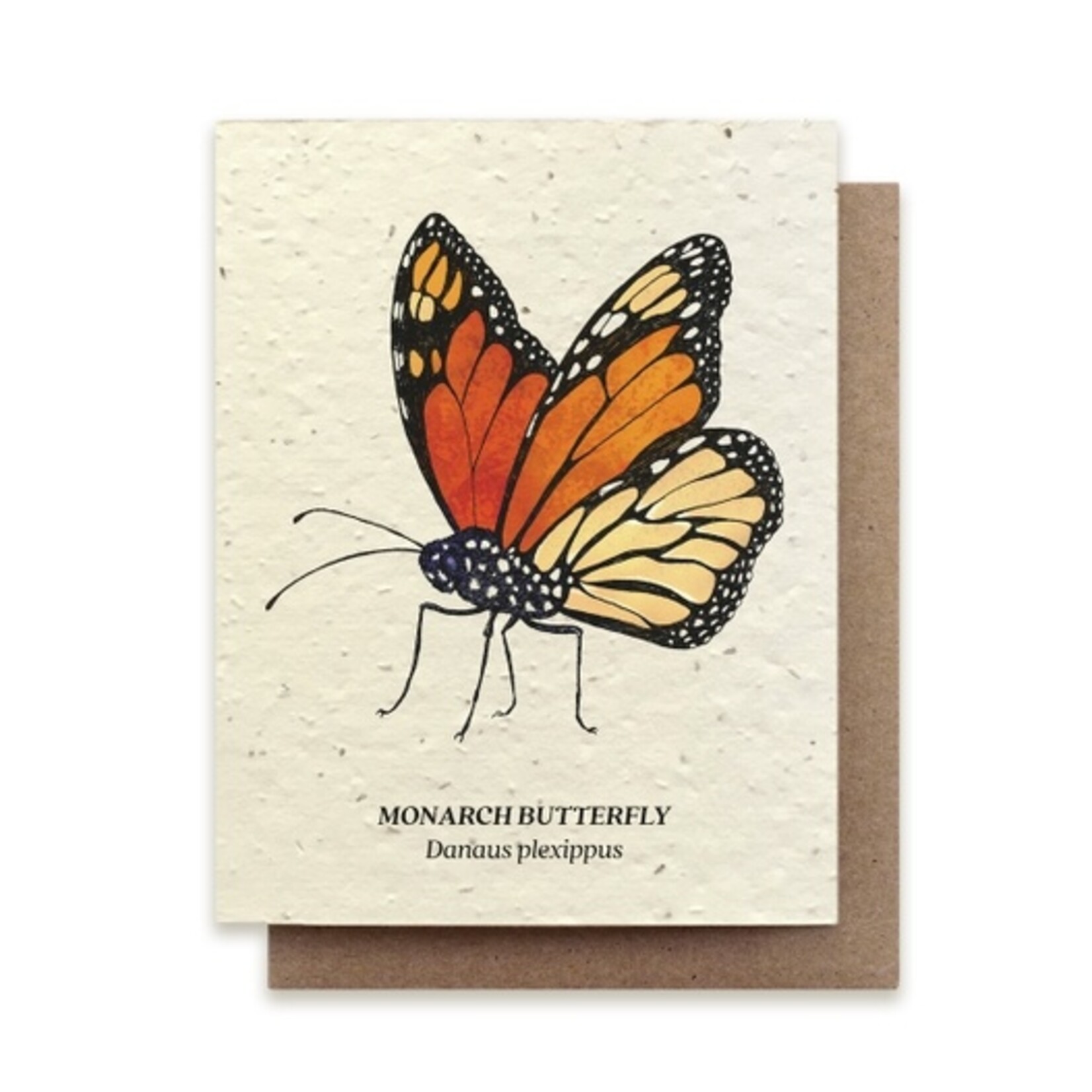 Small Victories The Bower Studio Monarch Butterfly Plantable Wildflower Seed Card
