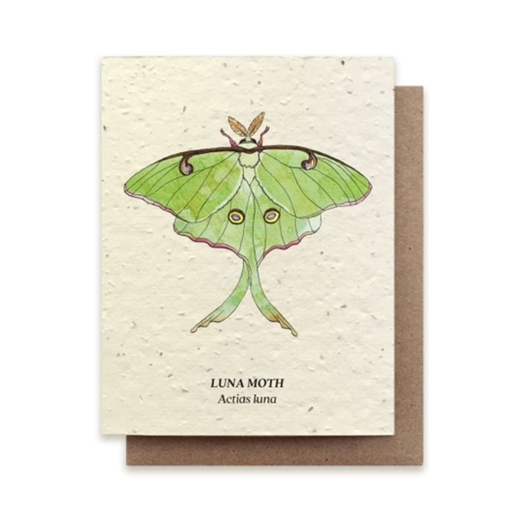 Small Victories The Bower Studio Luna Moth Plantable Wildflower Seed Card