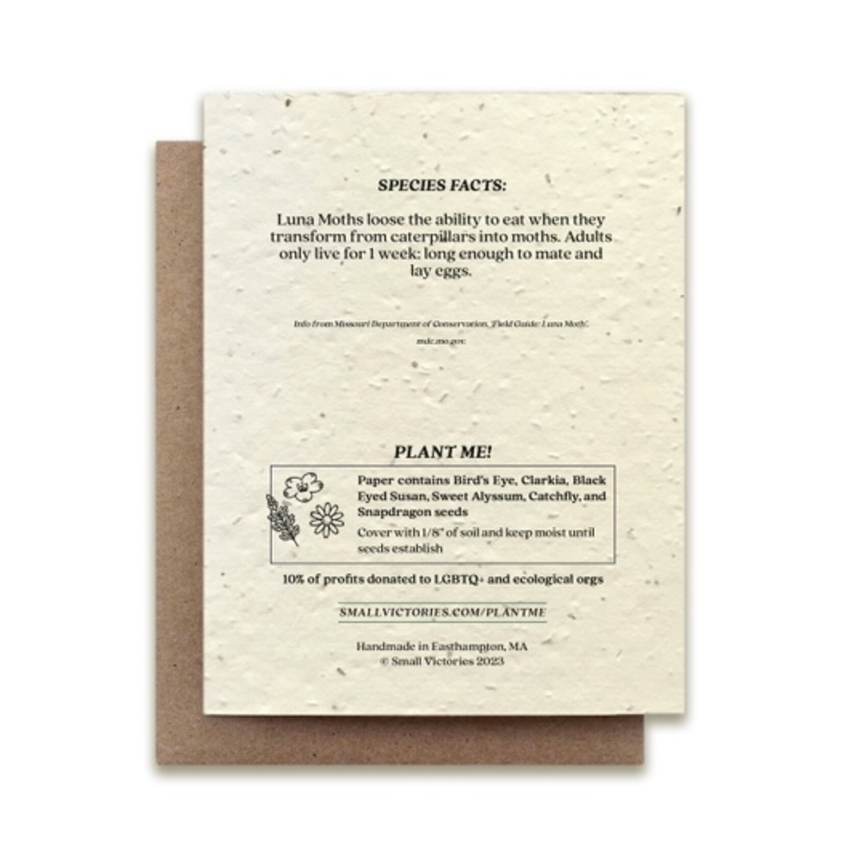 Small Victories The Bower Studio Luna Moth Plantable Wildflower Seed Card
