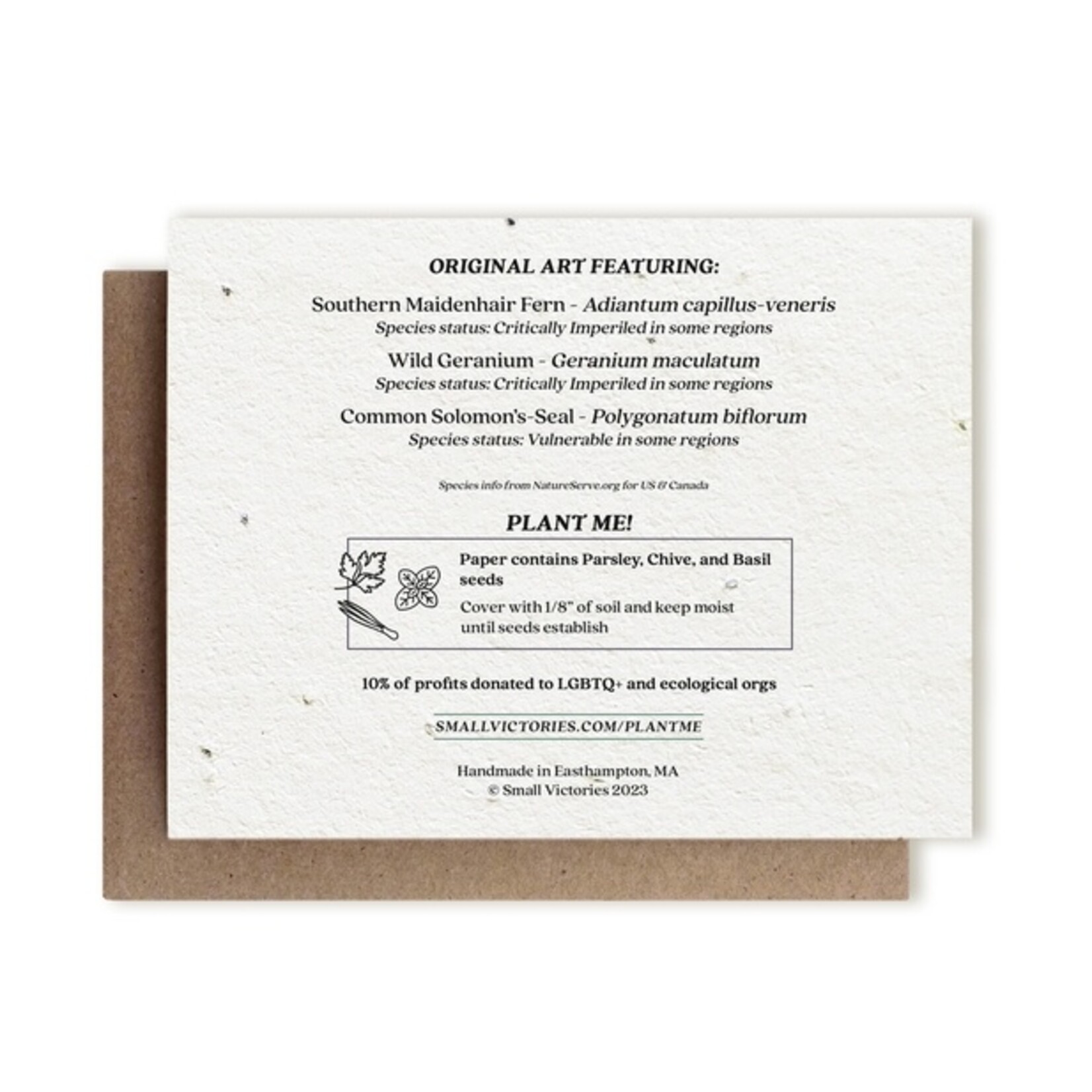 Small Victories The Bower Studio Botanical Thank You Plantable Herb Seed Card