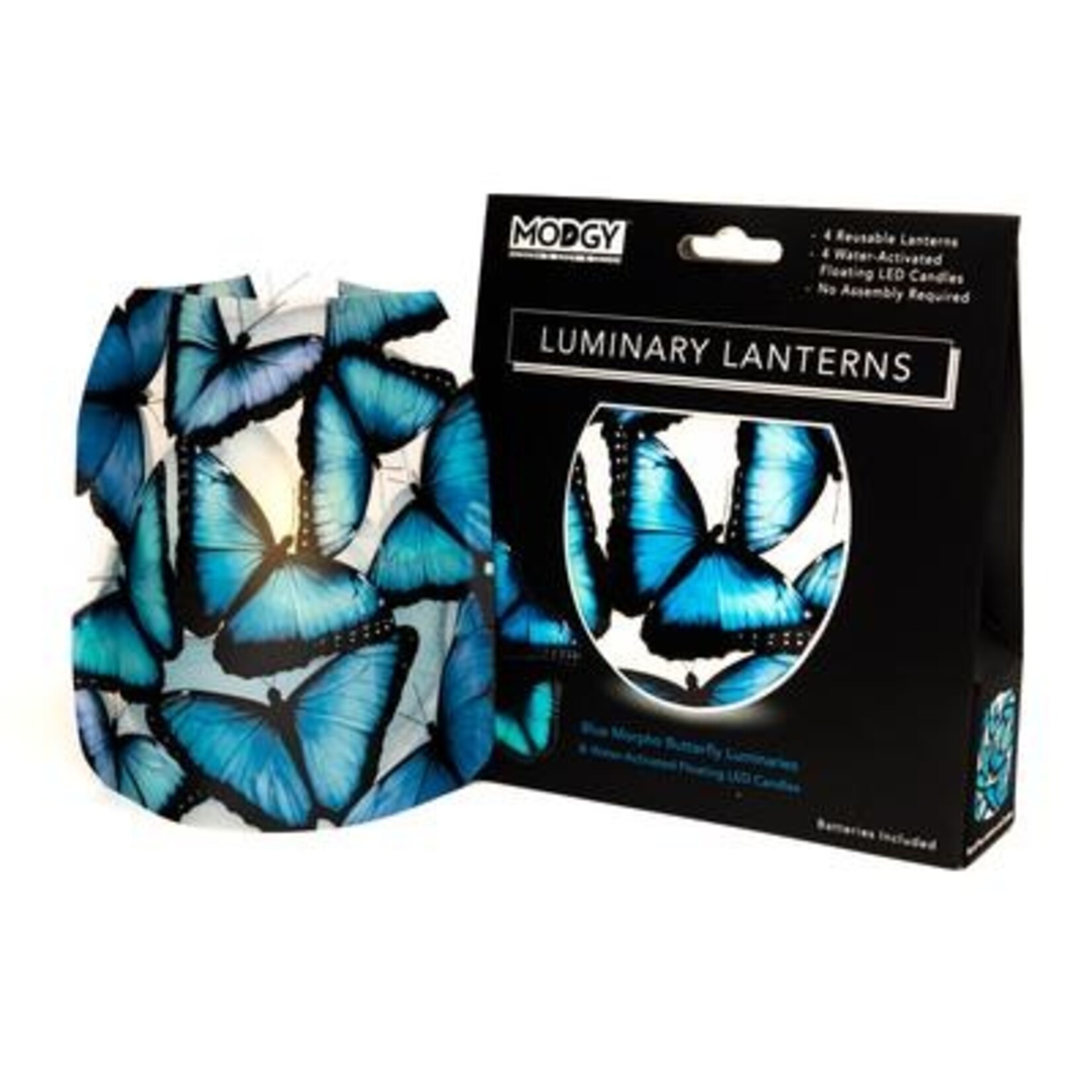 Modgy Blue Morpho Butterfly Modgy Lantern