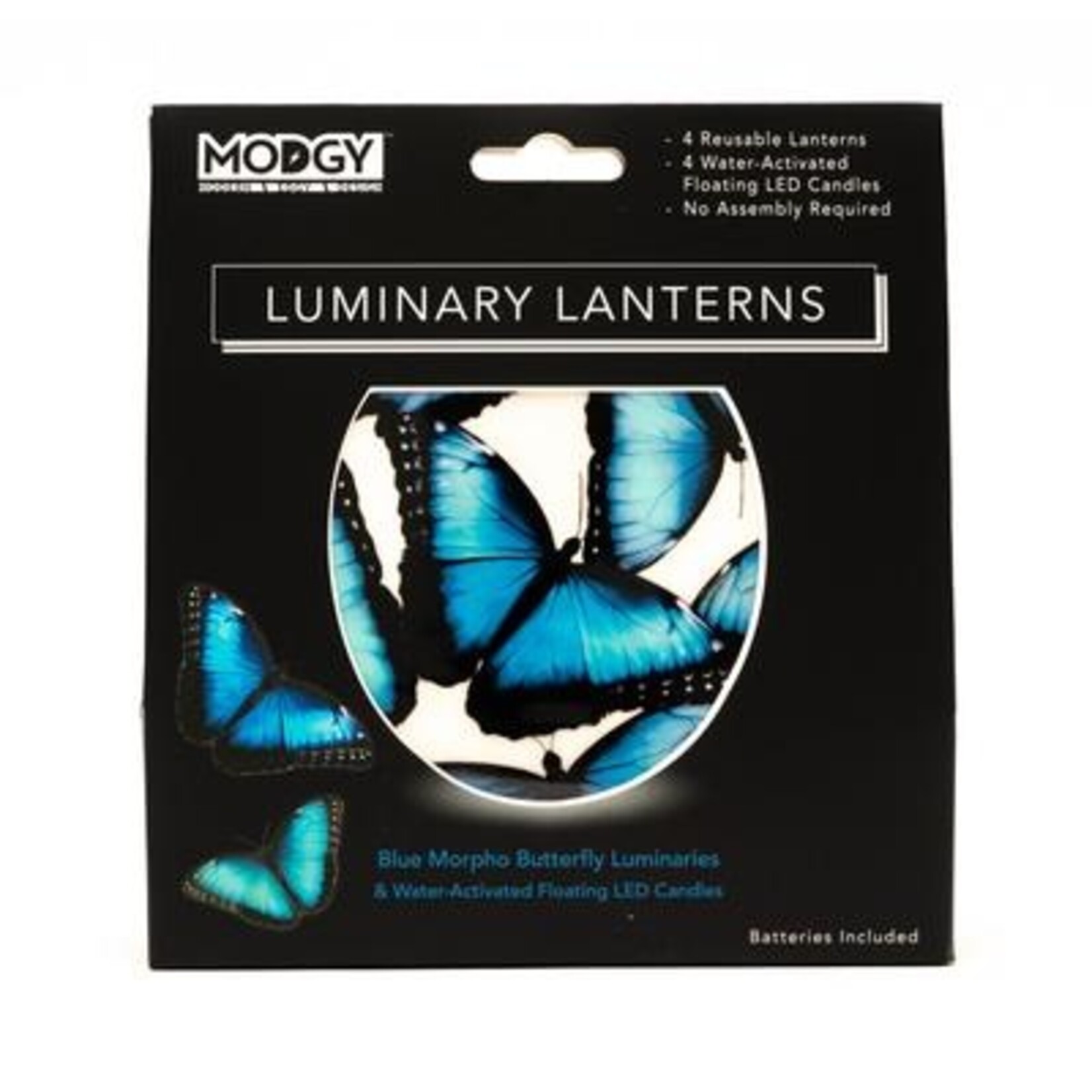 Modgy Blue Morpho Butterfly Modgy Lantern