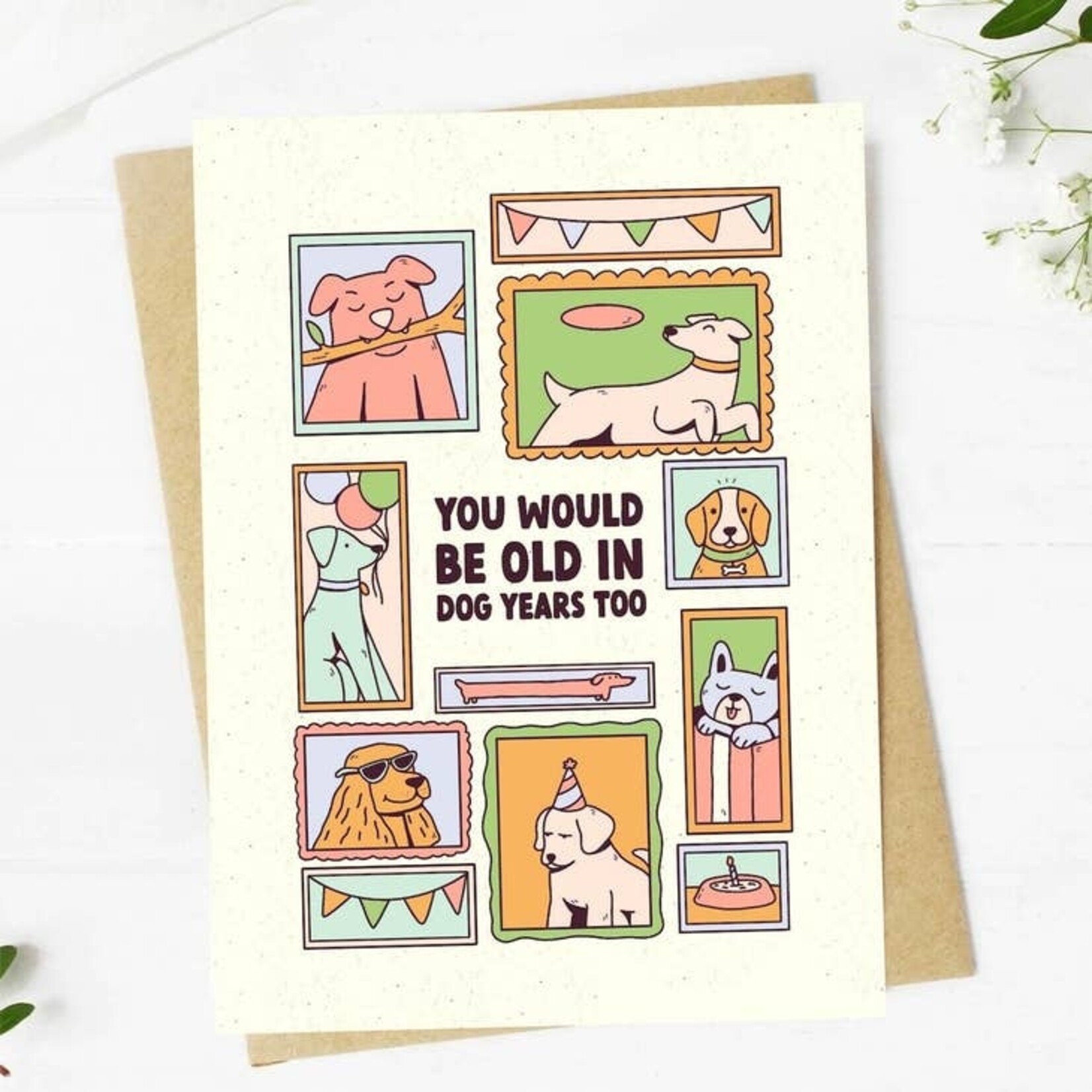 Big Moods Big Moods "You Would Be Old in Dog Years Too" Birthday Card