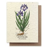 Small Victories Blue Flag Iris Plantable Wildflower Seed Card